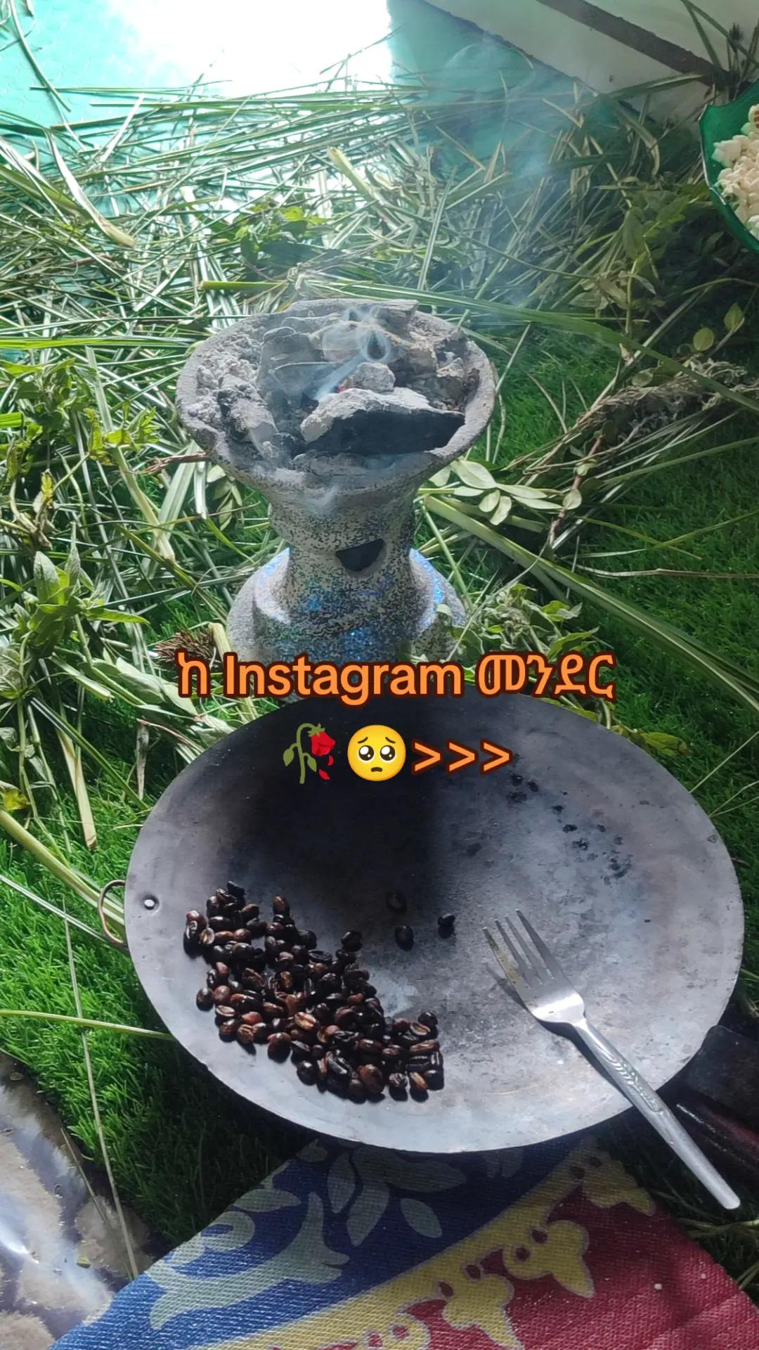 @แฅแแค๐ฆ๐