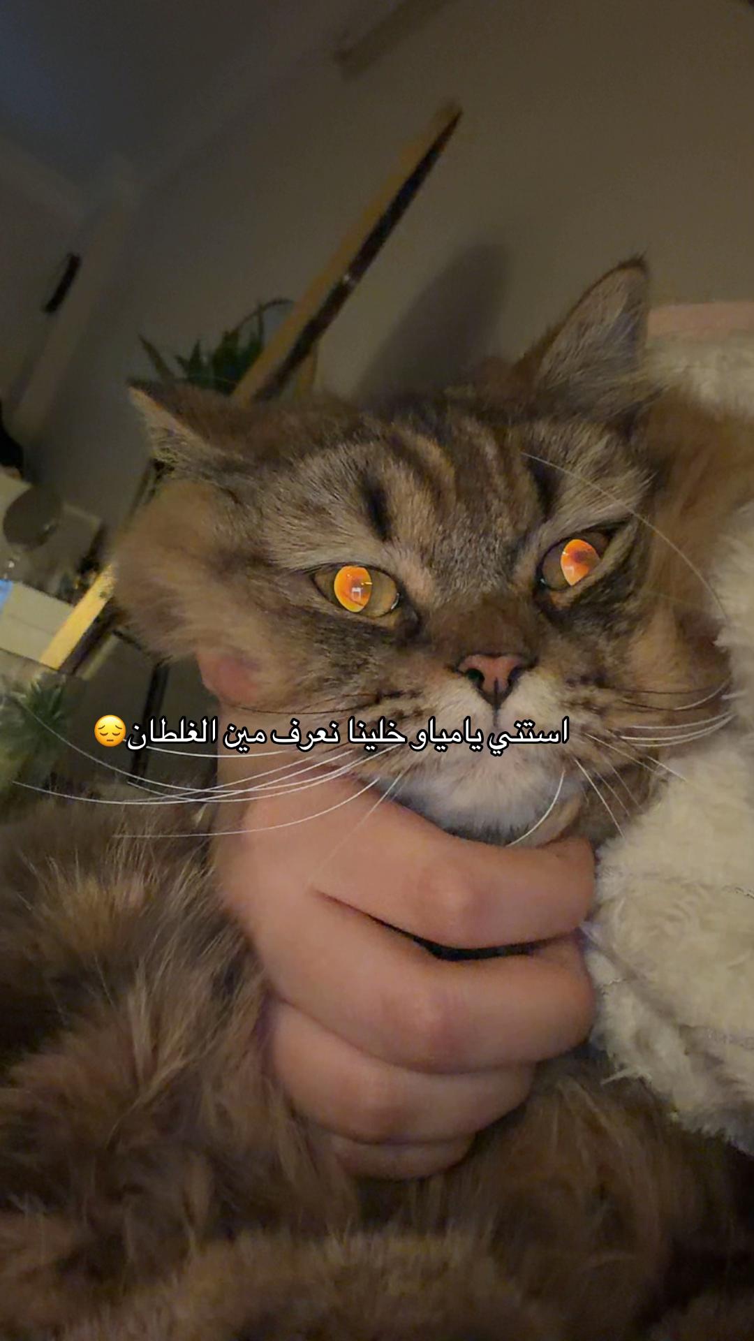 @رغد .
