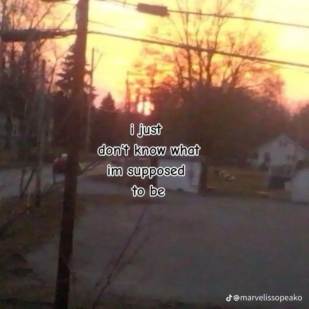 @⚞^. .^⚟ 𝑦𝑢𝑧𝑢 ⋆🐾°