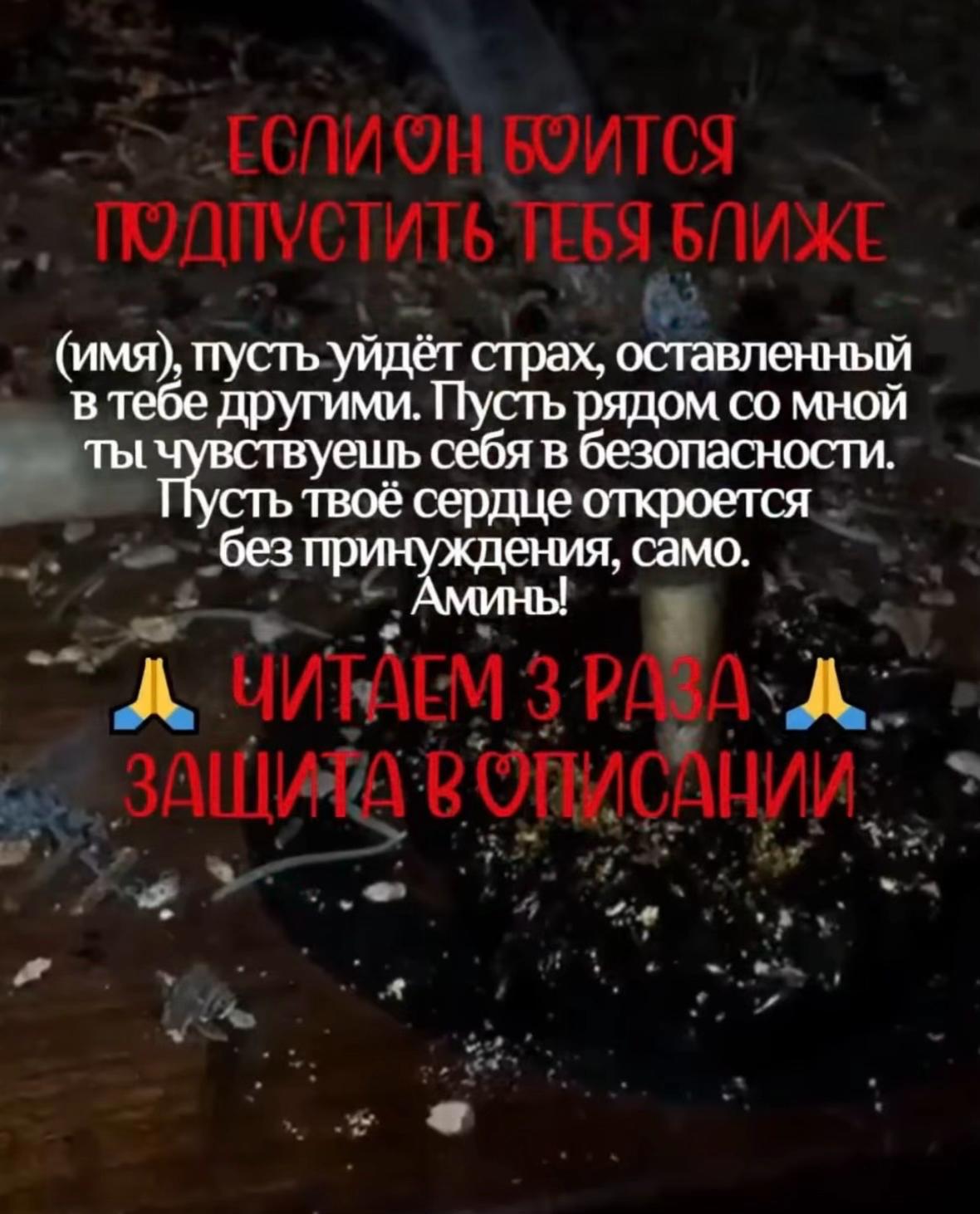 @gadalkaruzi