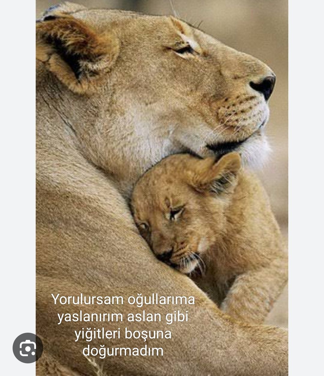 @ummu_yildiz 01