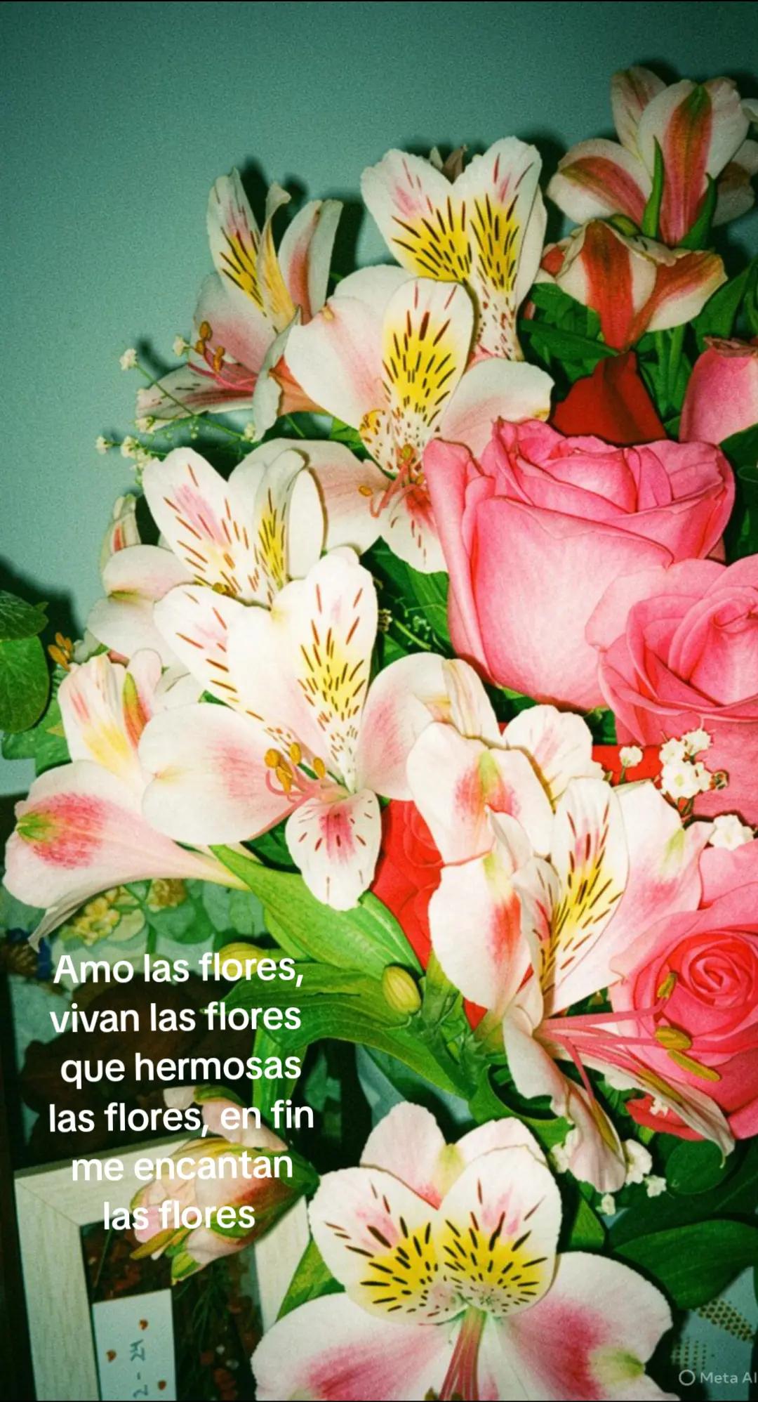 @Karla