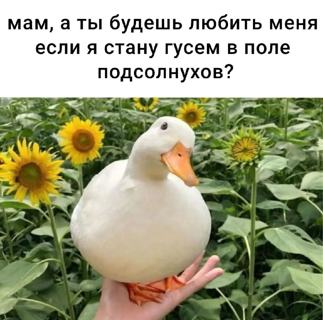 @пипец