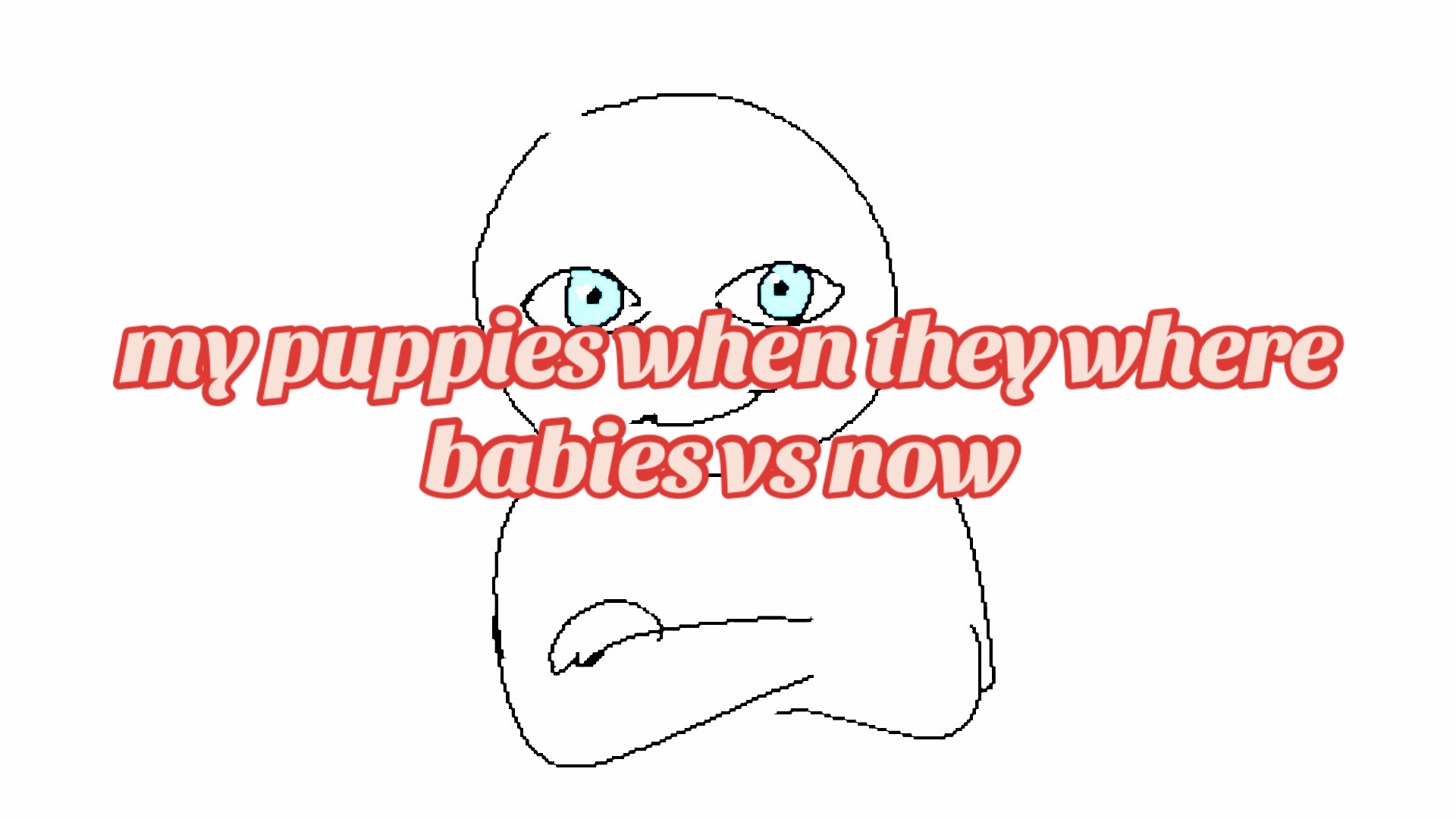 @/steven/
