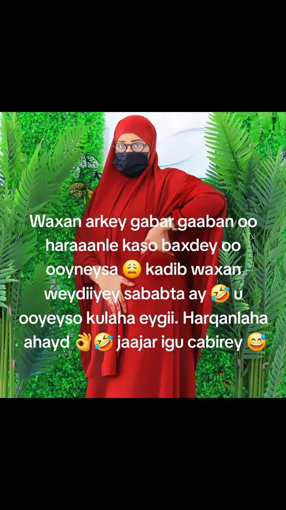 @Hal abuur Baasim