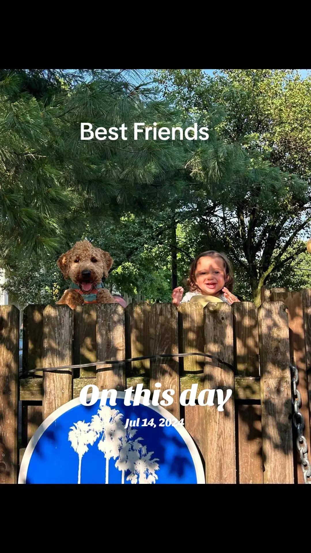 @BodhiBeCool