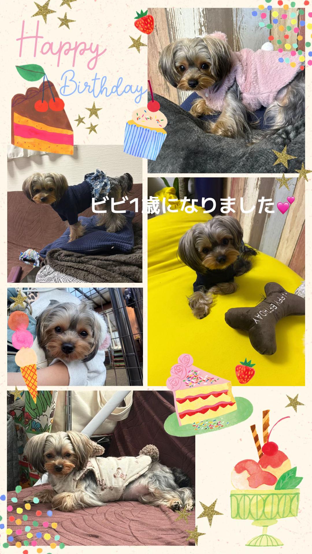 @ビビまるトンチャー