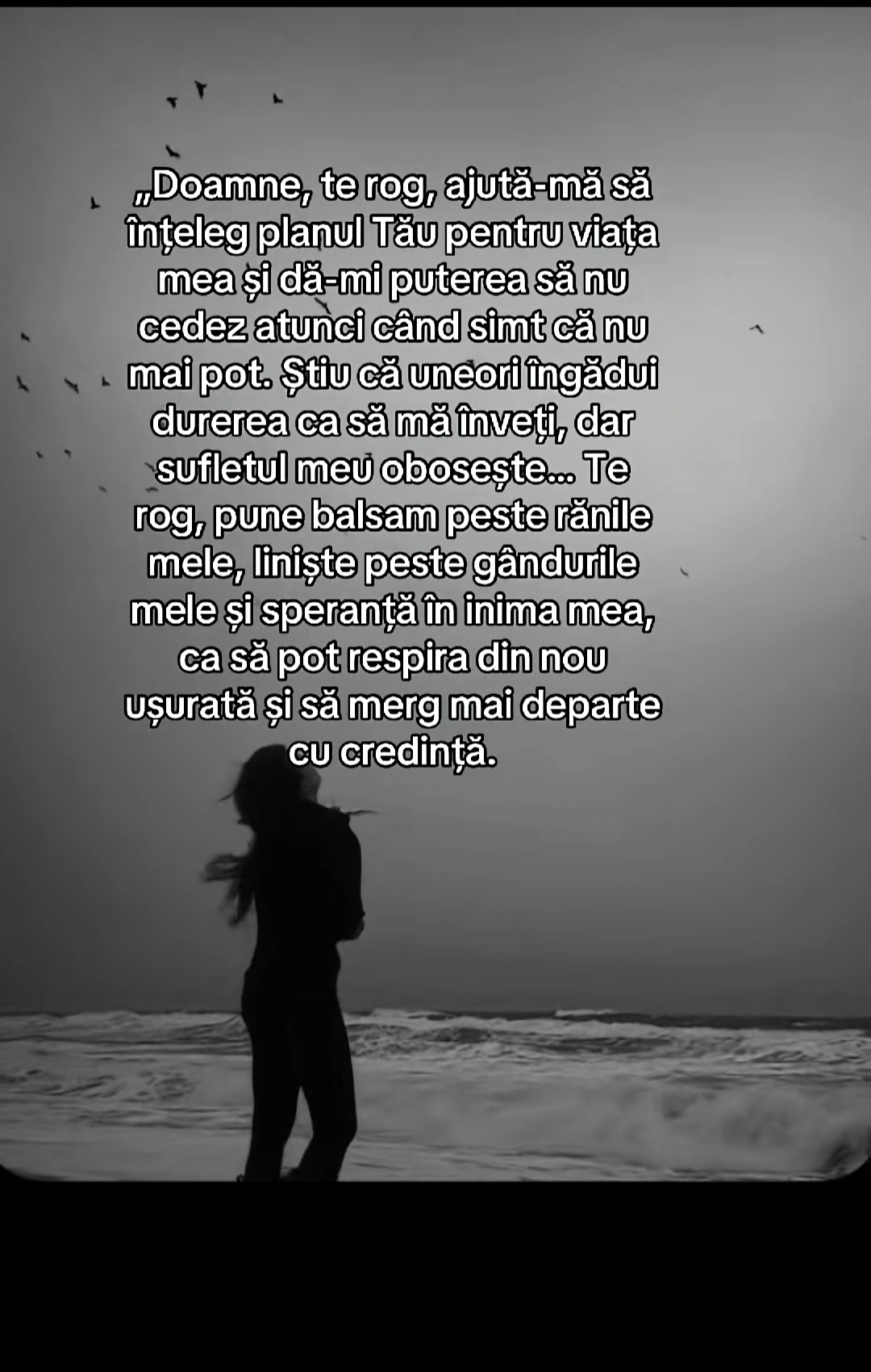@Cristina Valentina