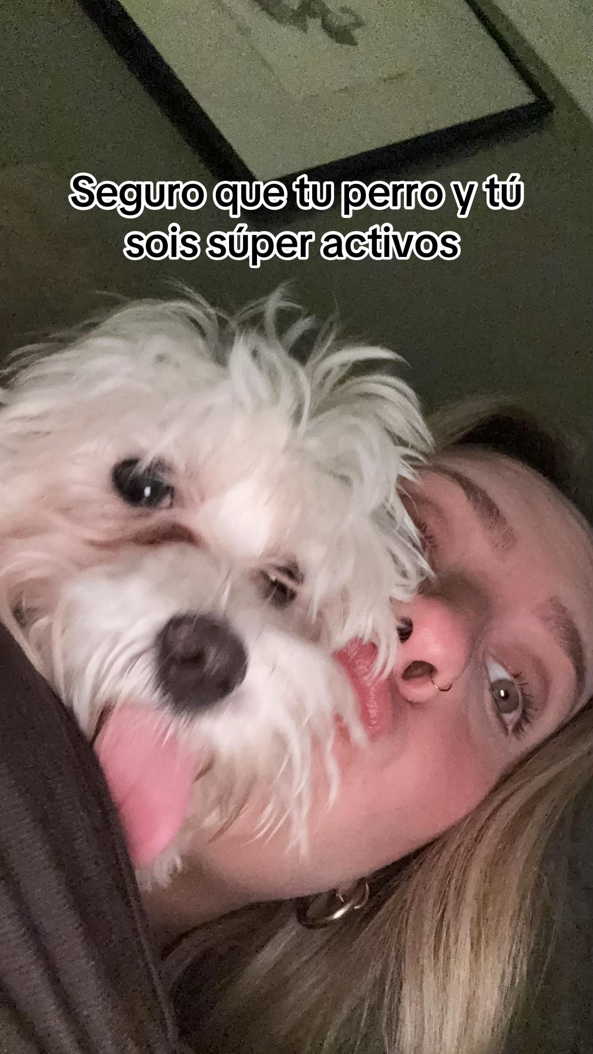 @L.