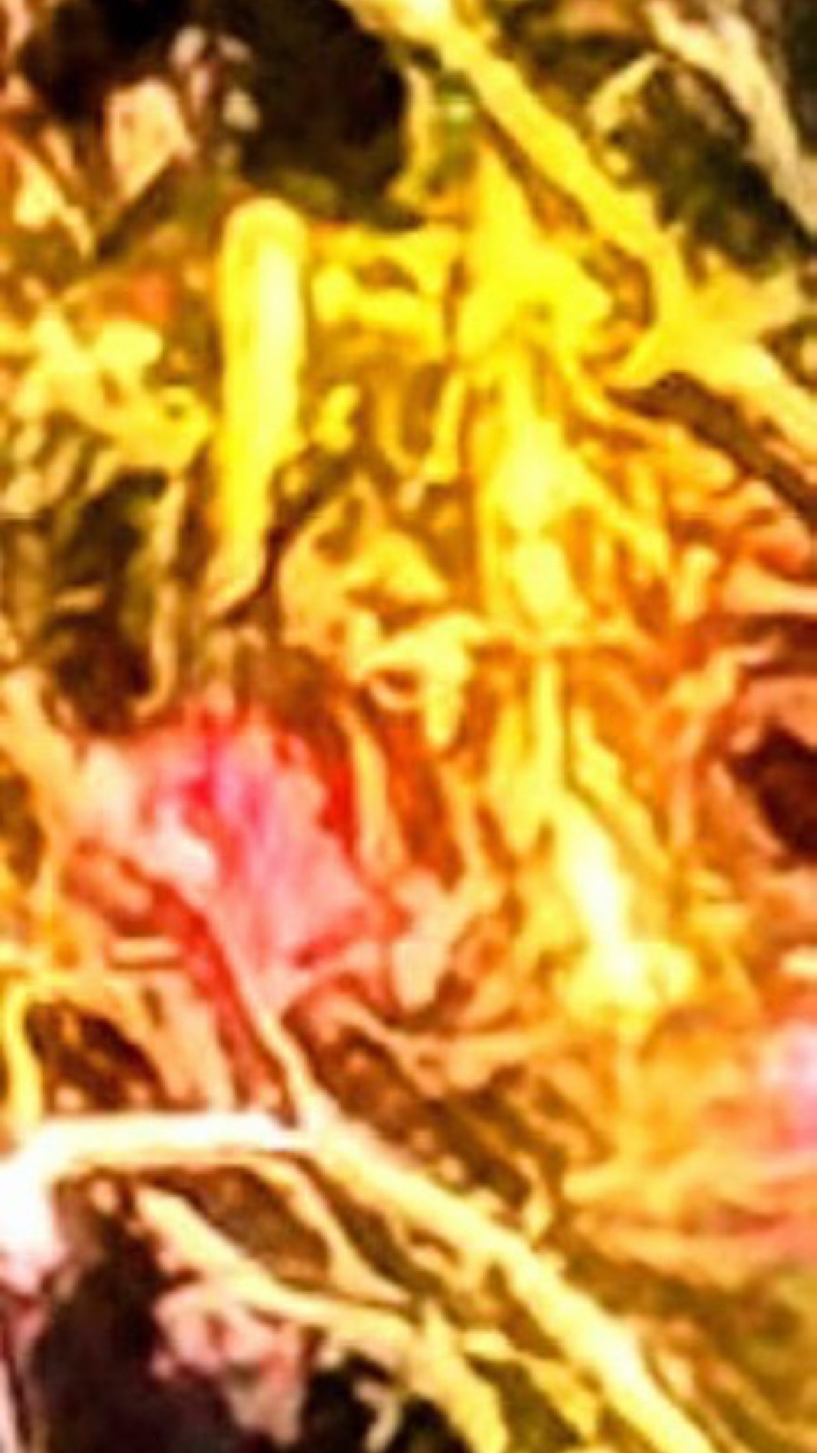 @🌲Forest Friend🌲🙏💗