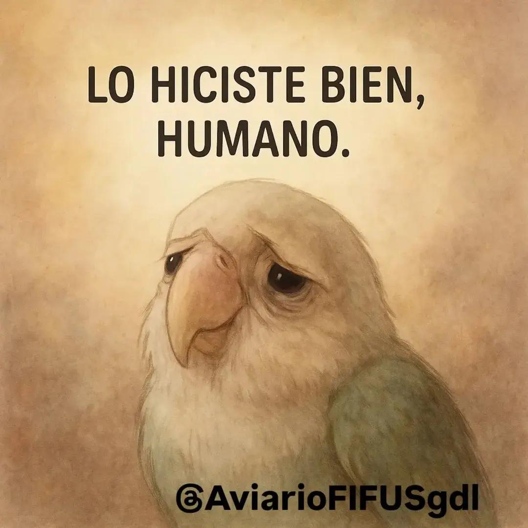 @Aviario FIFUS Guadalajara