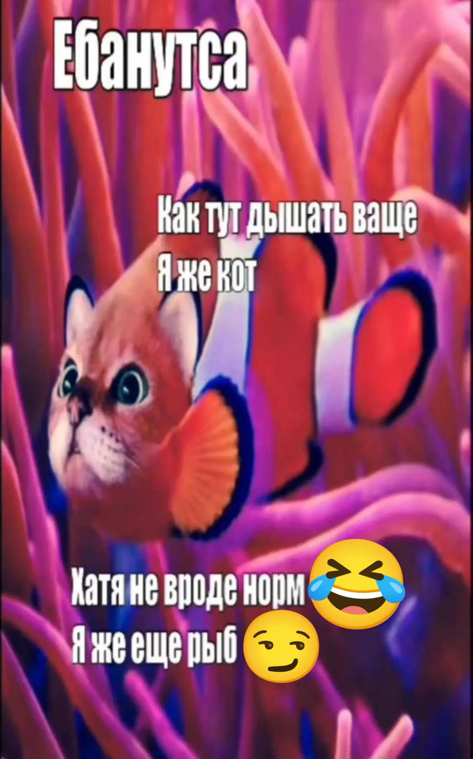 @Эцио Аудиторе да Фиренце