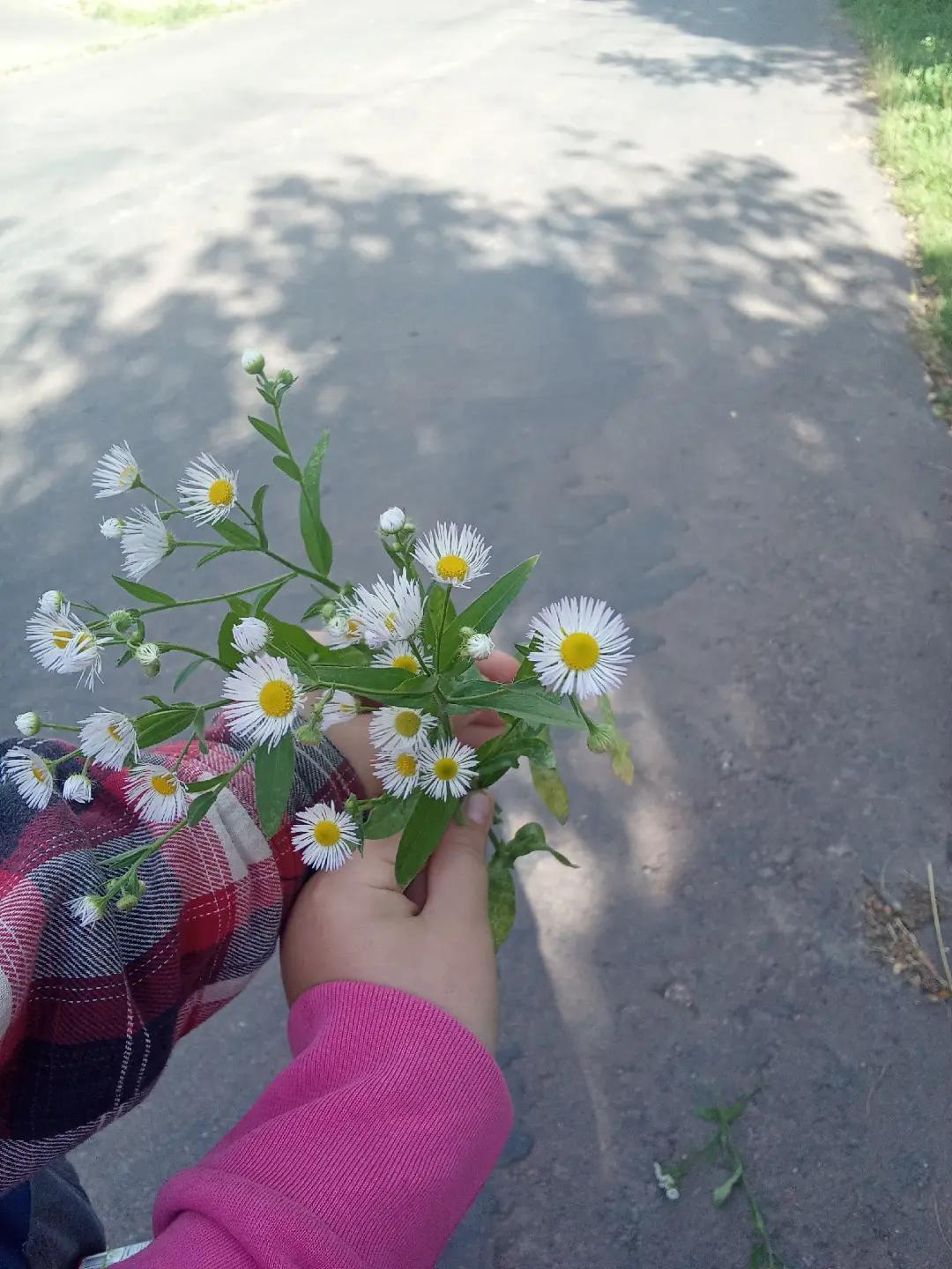 @Каріна Харіна