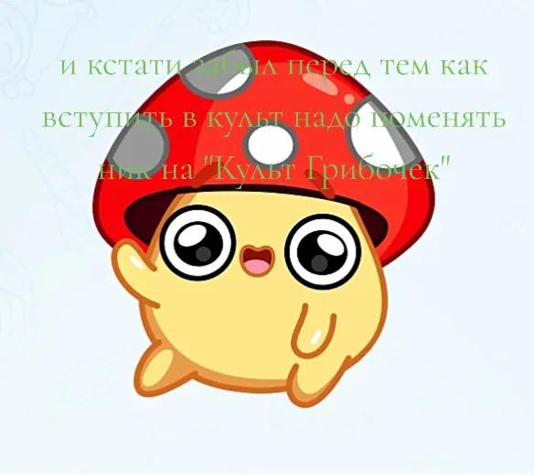 @Культ:Грибочек: