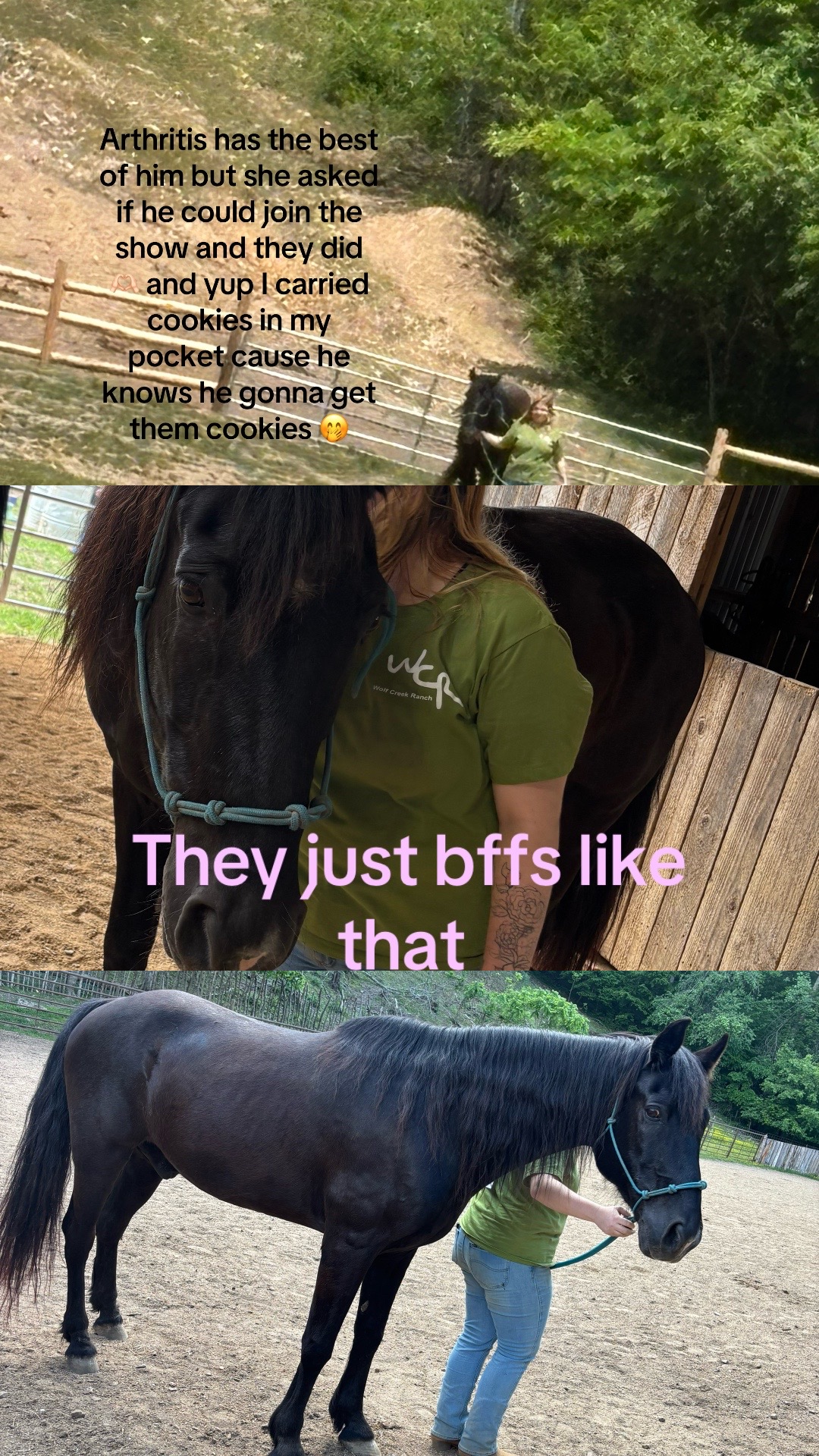 @truckerwifetruckermomma2❌️