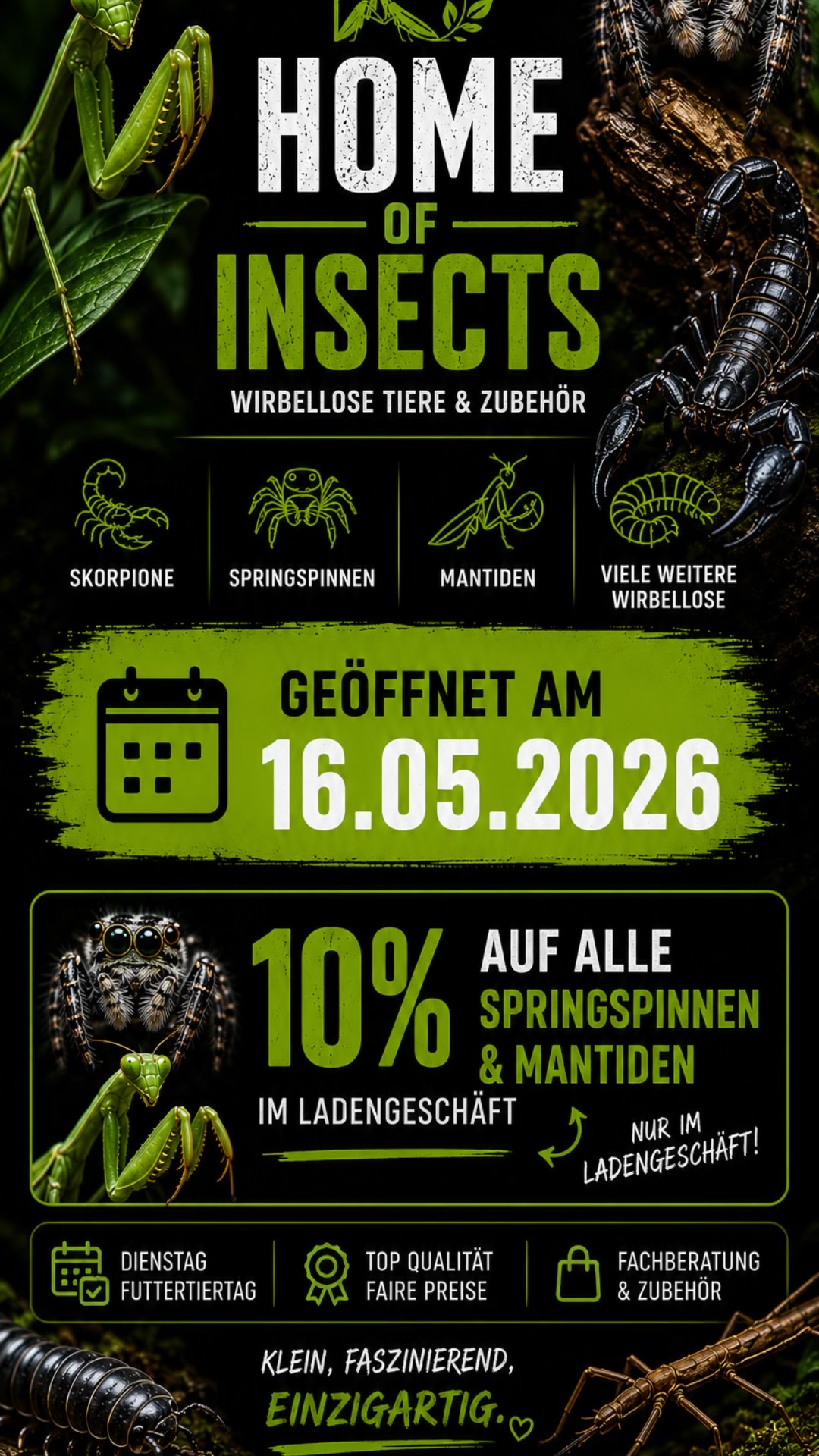 @Home-of-Insects