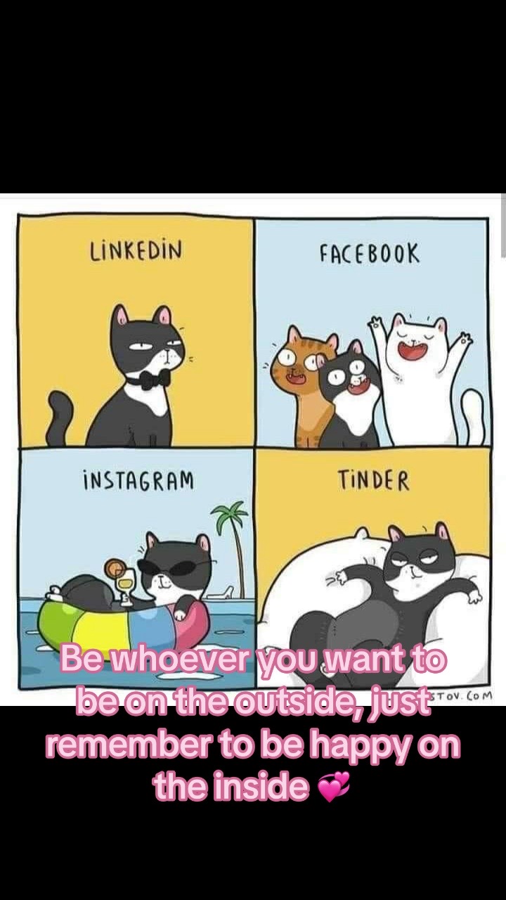 @Kate the cat Sitter 😺