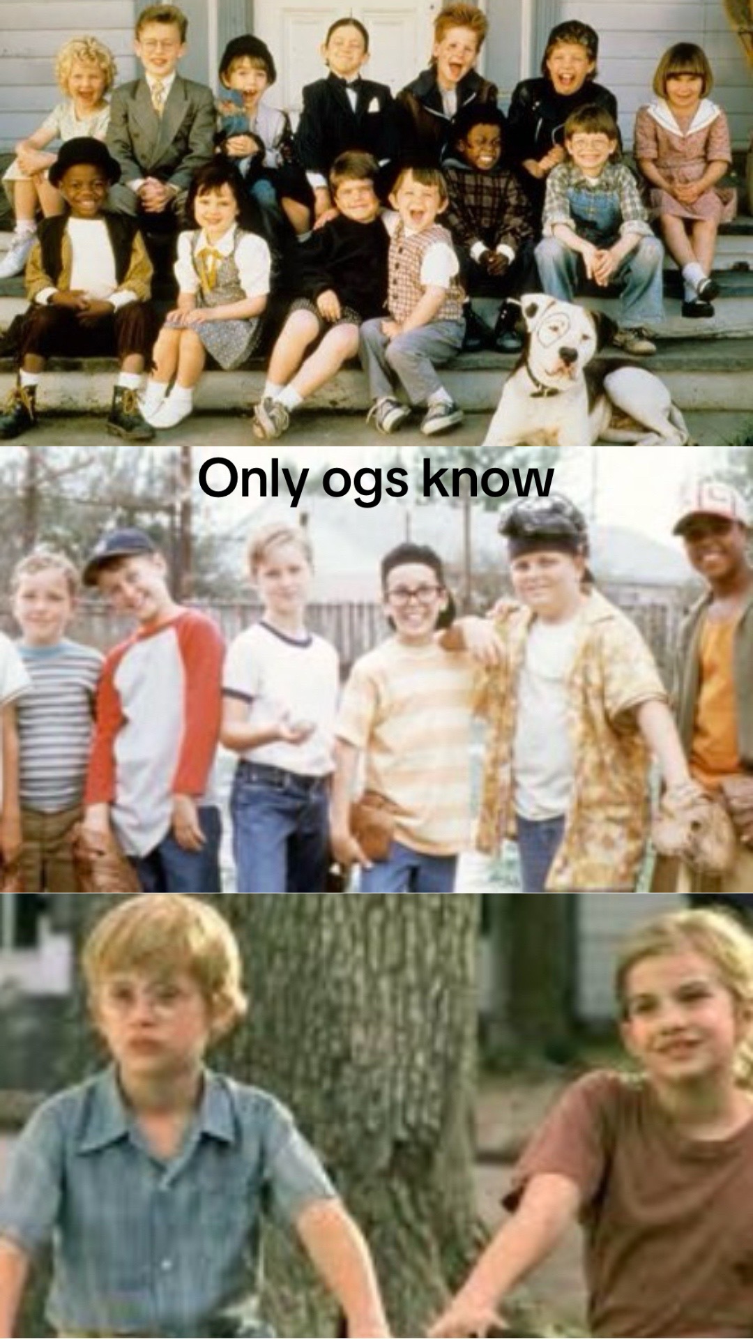@Mydogsthebest