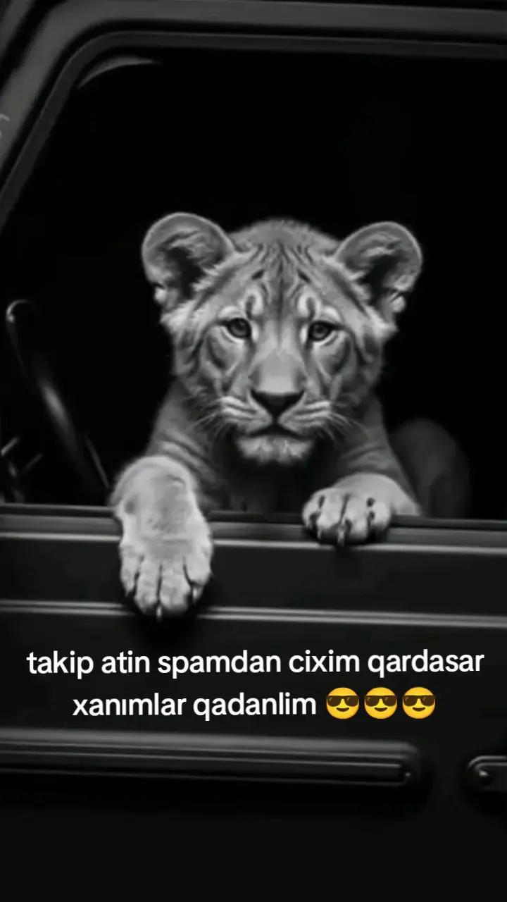 @Soltanov.777 🇦🇿✌🇷🇺