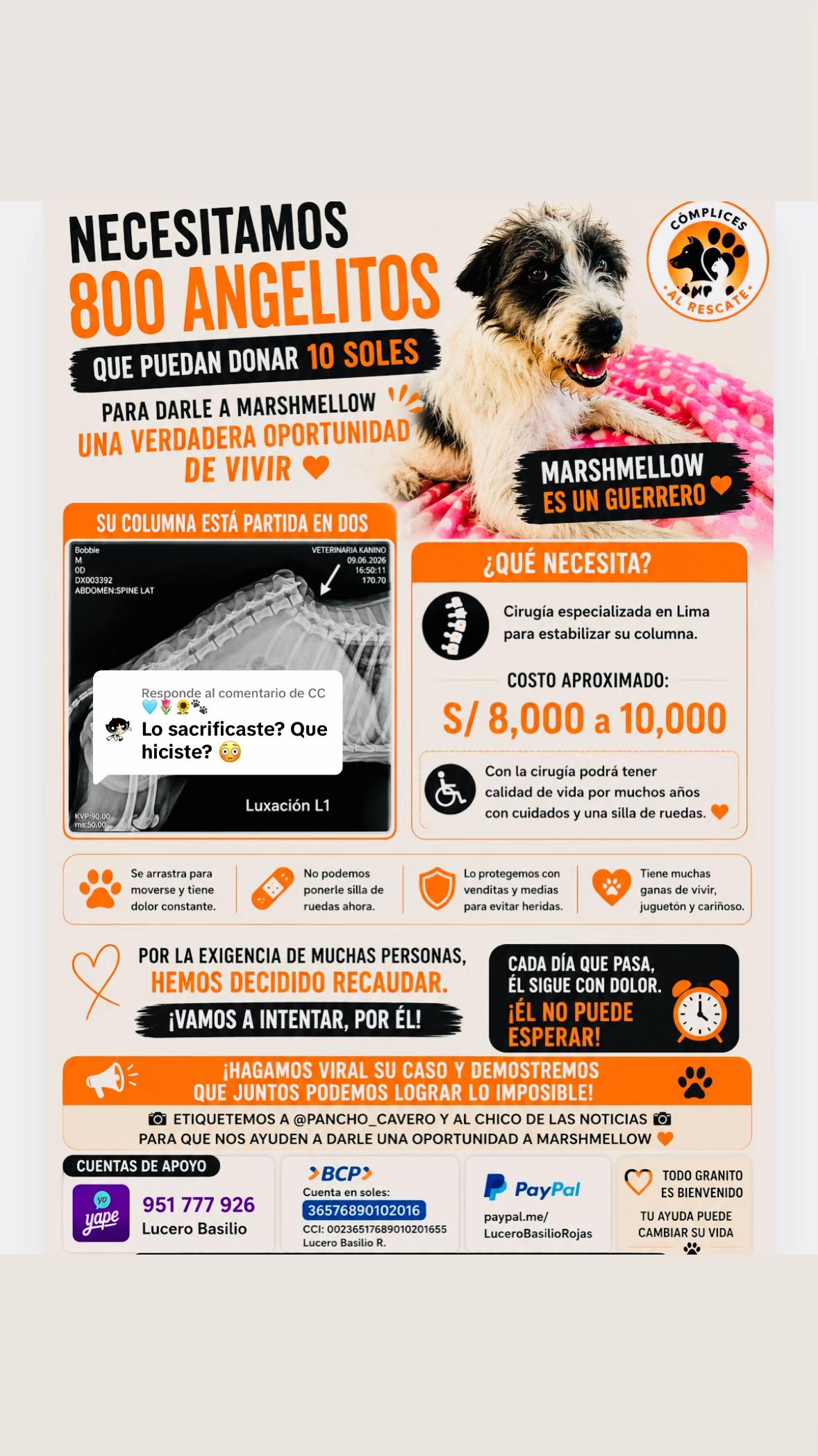 @Cómplices al rescate_11🐾