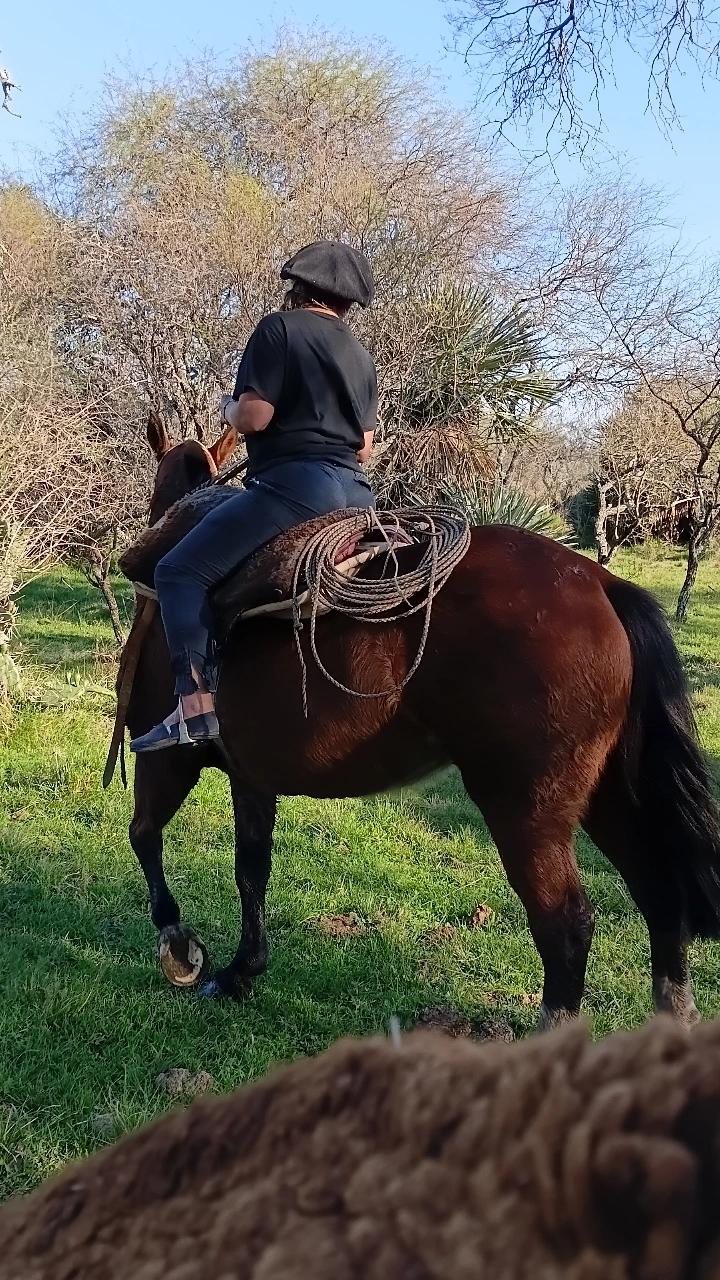 @marisolmartinez5447