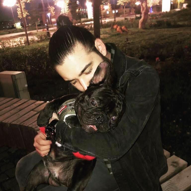 @Bosphorus Bulls French Bulldog