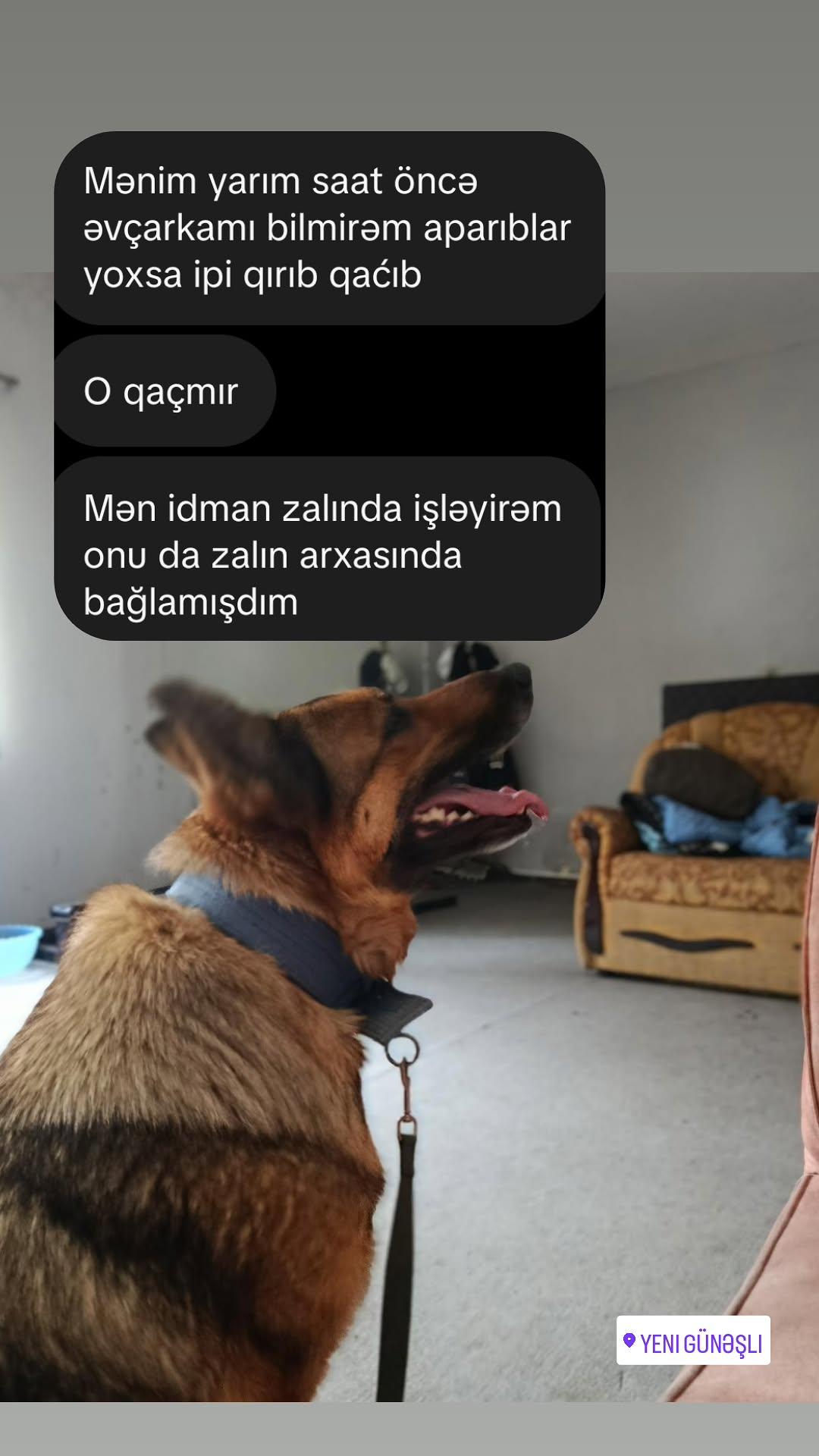 @yenigunesli