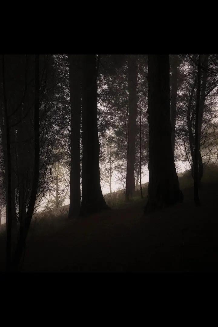 @وهمہ