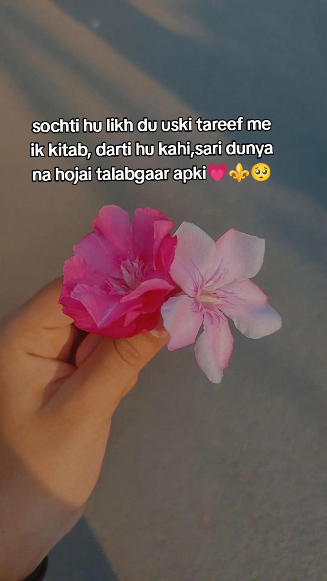 @farwaejaz110