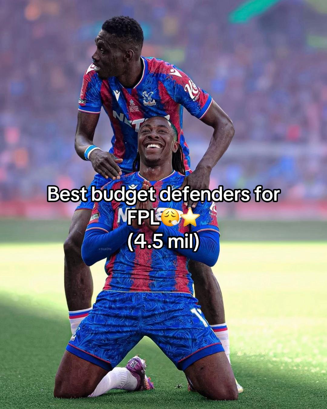 @fpltips.1