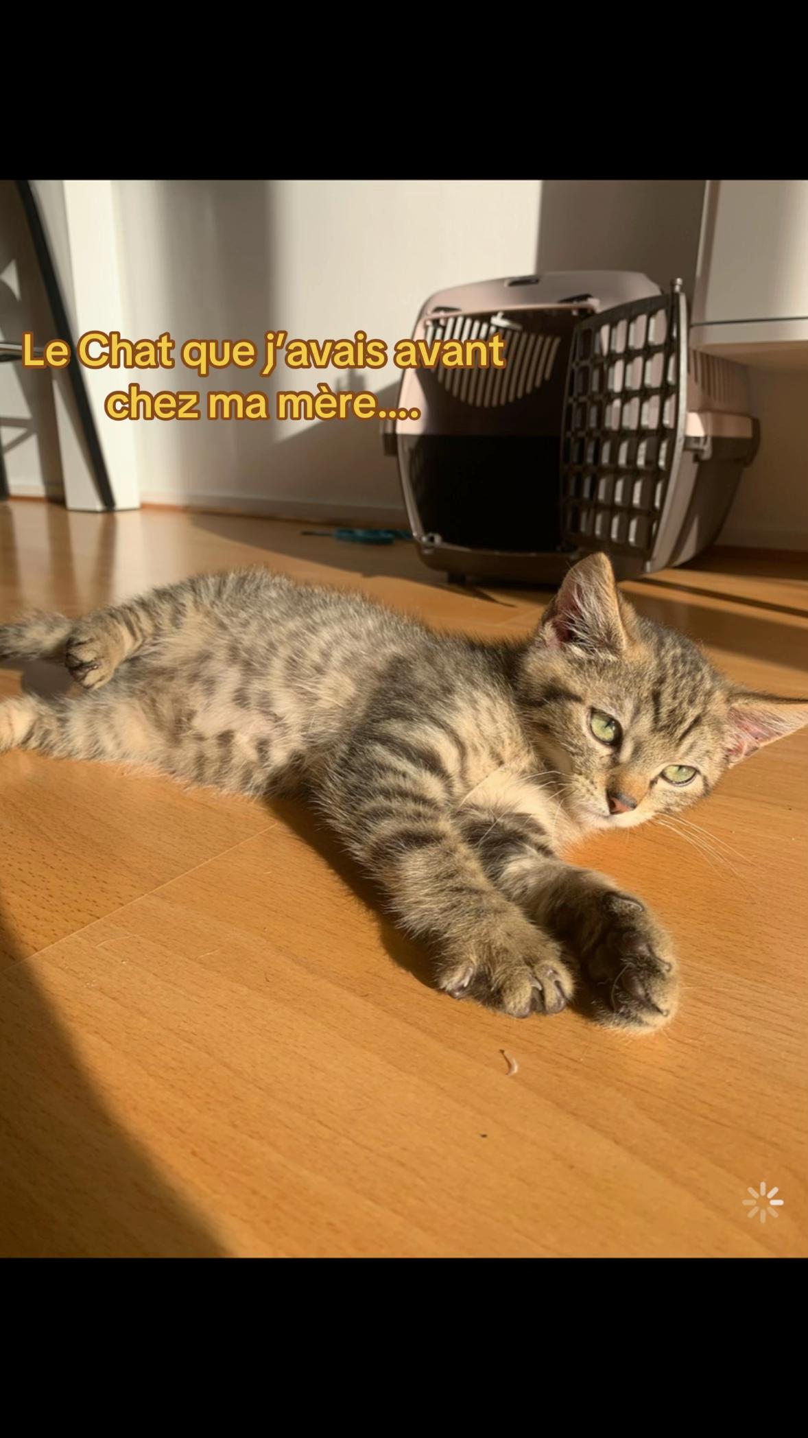 @Maé🐆liss🐬🥭🐠🌴