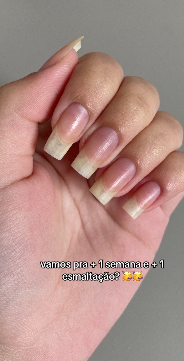@livoca