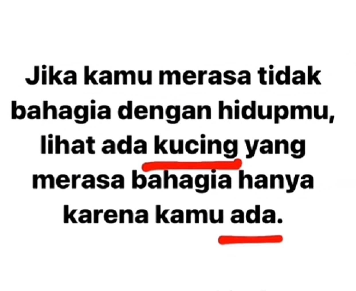 @frommenobi