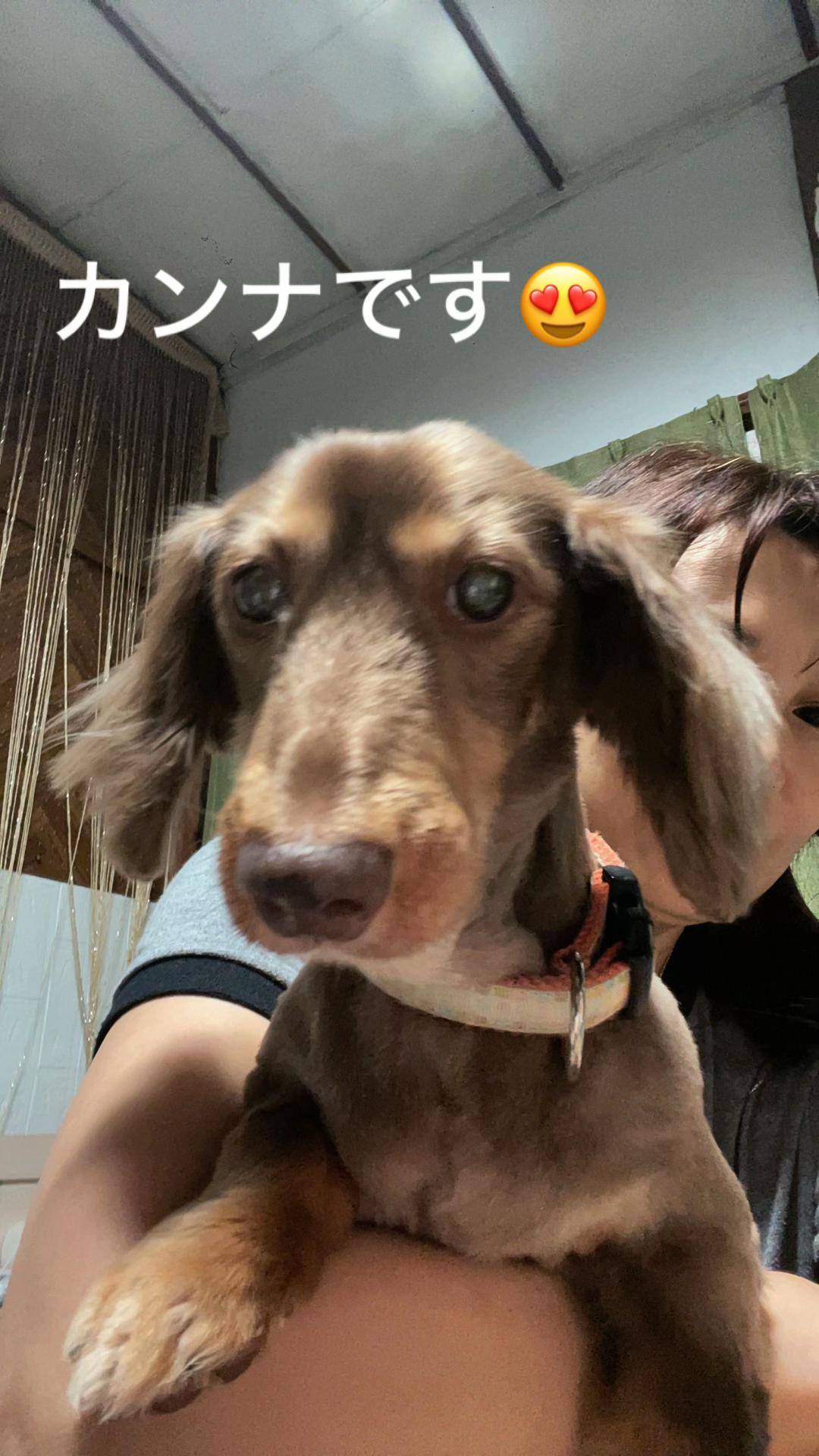 @マリア