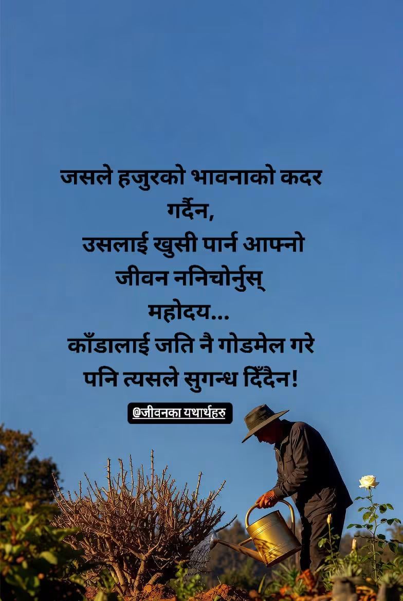 @SUMAN RAJ PANDEY