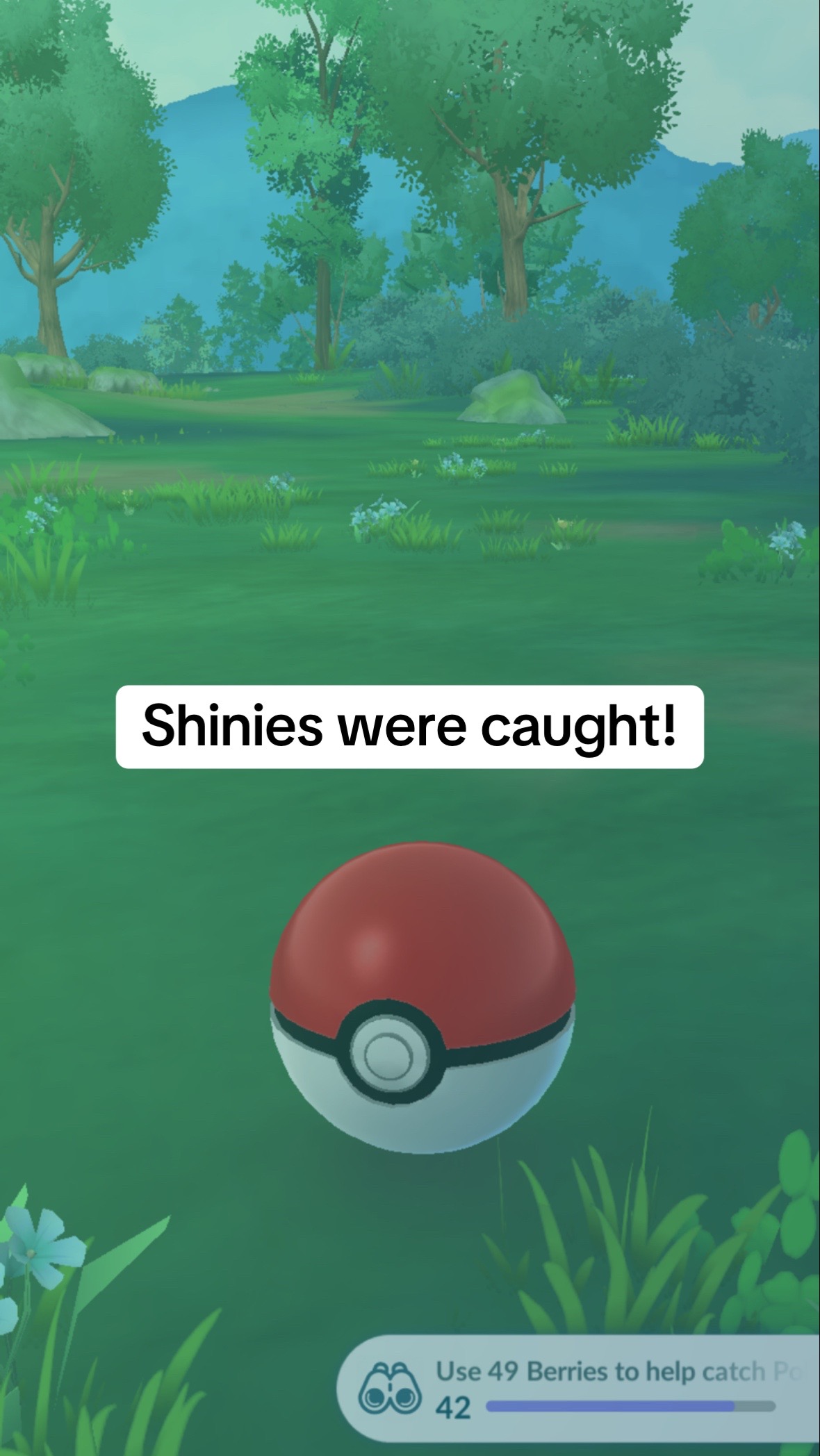 @ShyGuy26