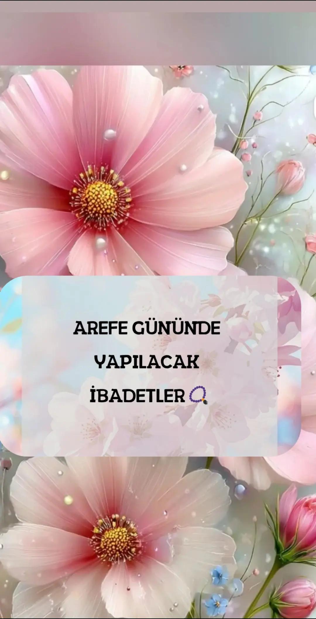 @hayat nereye gidiyor