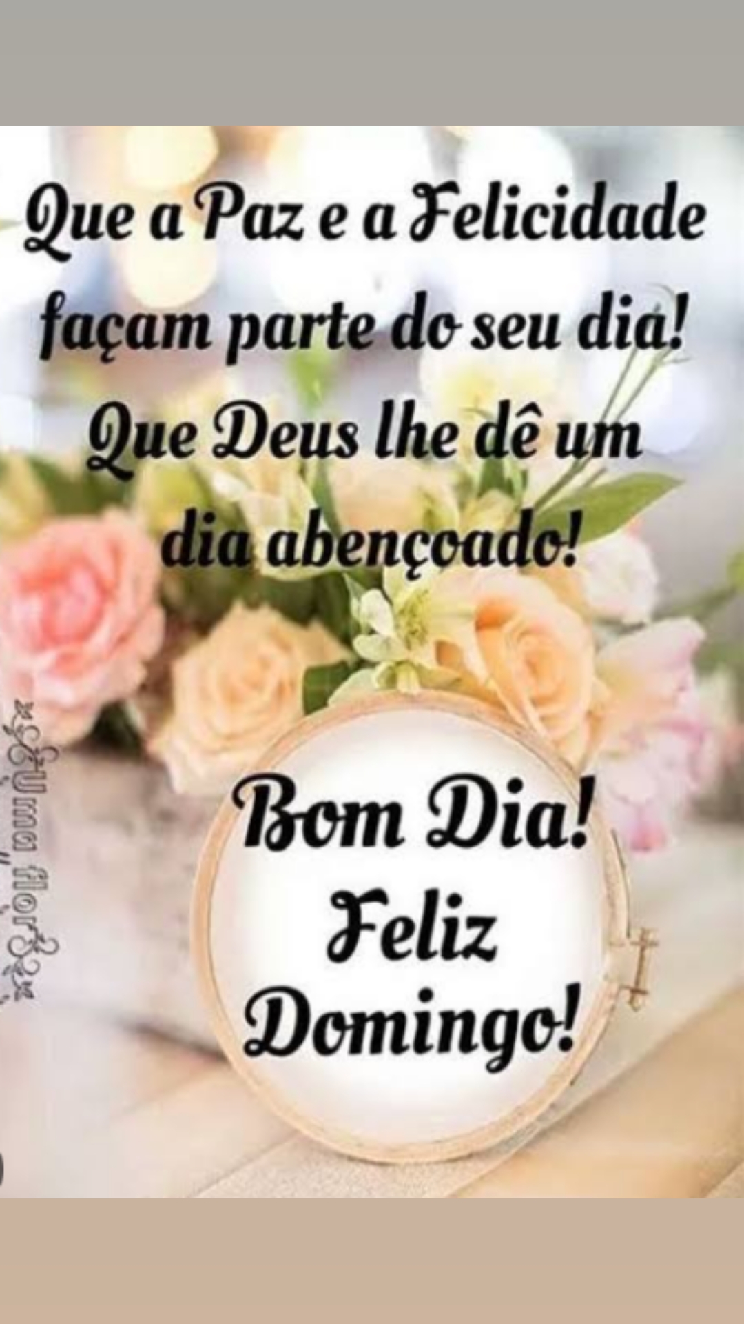 @Valdirene Soares 37