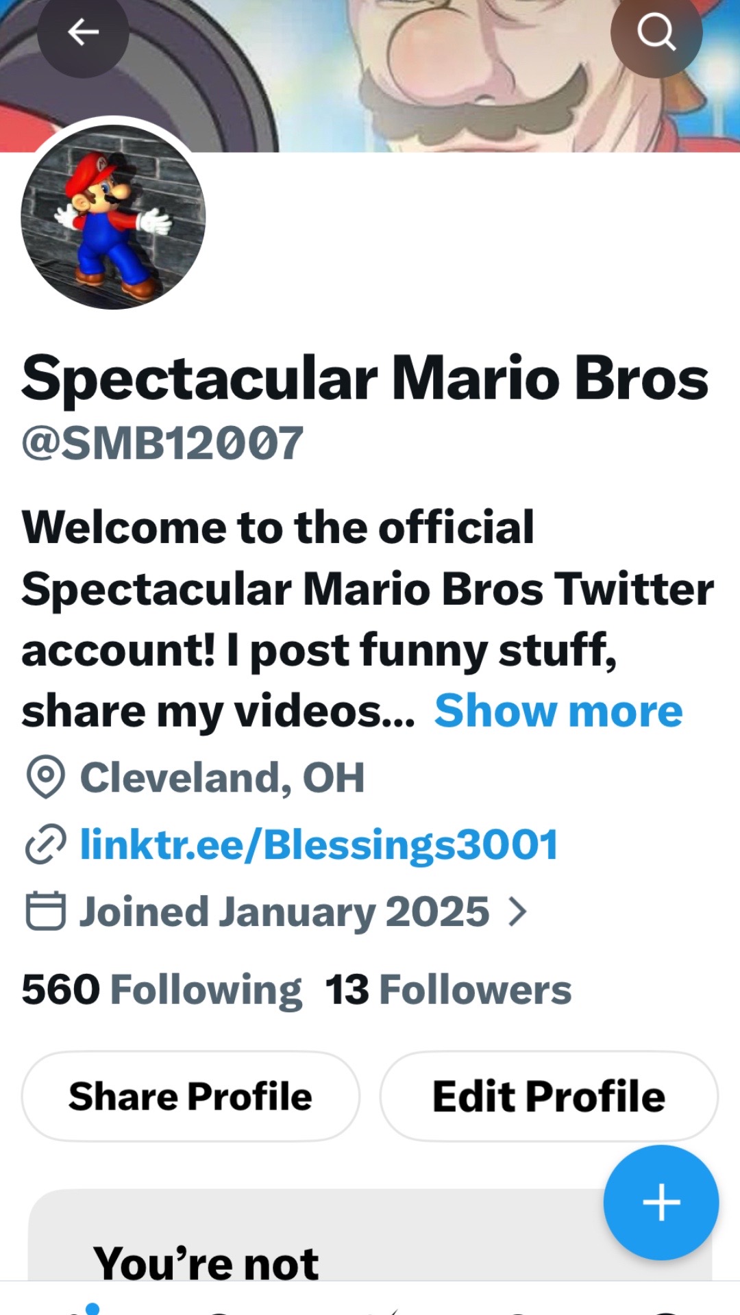 @Spectacular Mario Bros