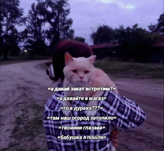 @ekatefnfkzs