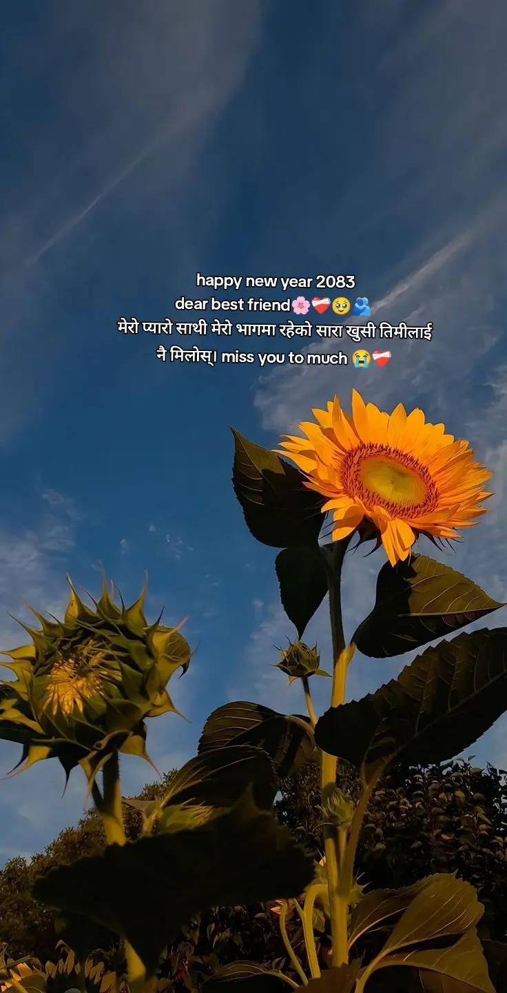 @gyanu🦚🫀