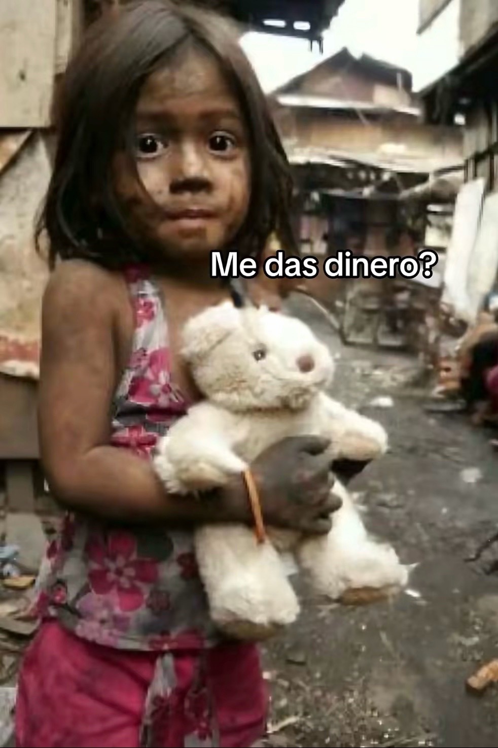@peluuuuuu