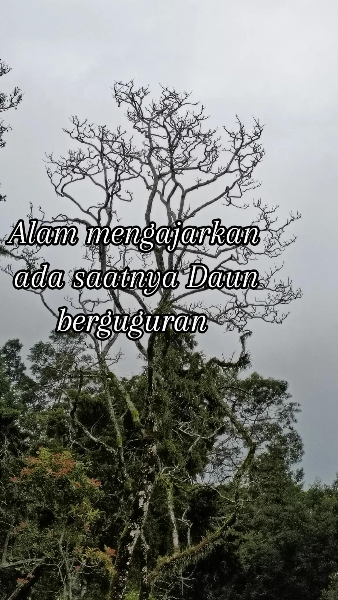 @LANA GIRI