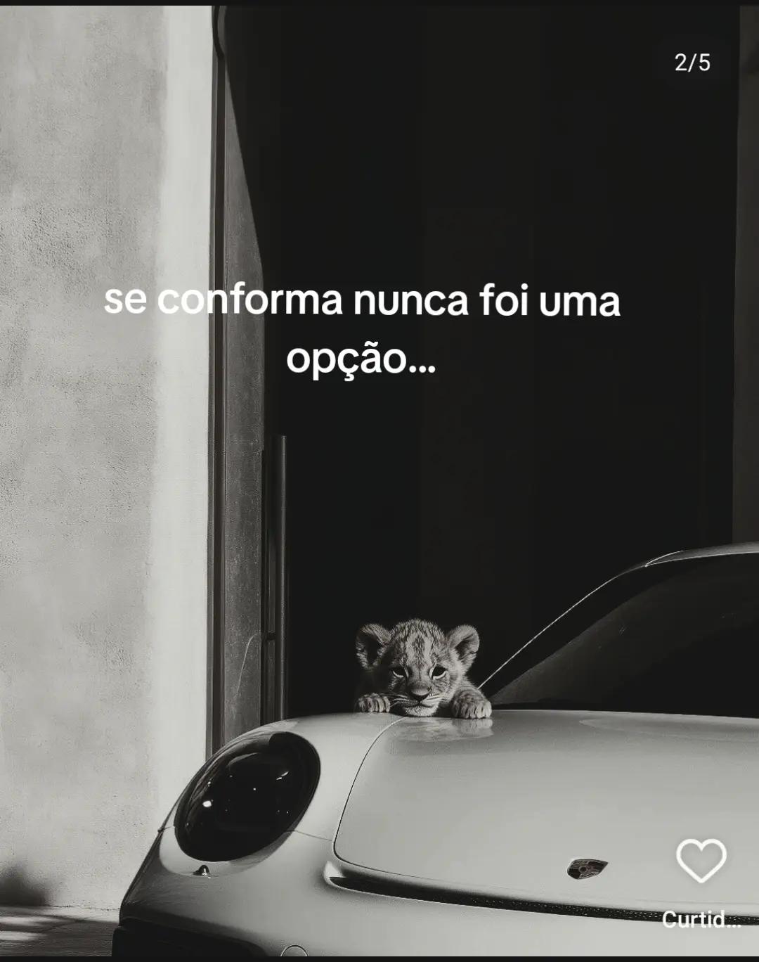 @Mind On