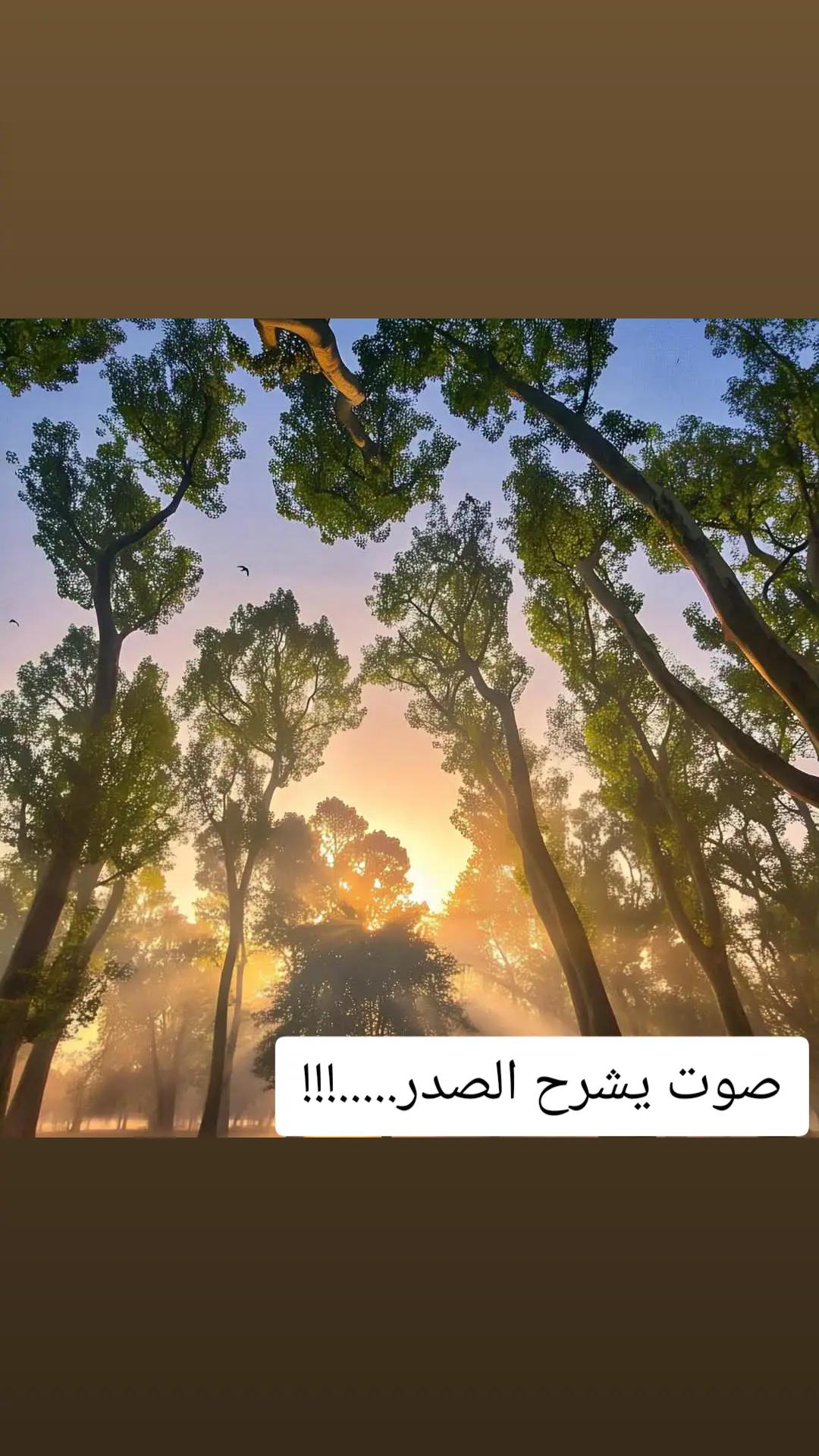 @آلُـِـِِـِِِـِِـِـطُـٌـٌٌـٌير