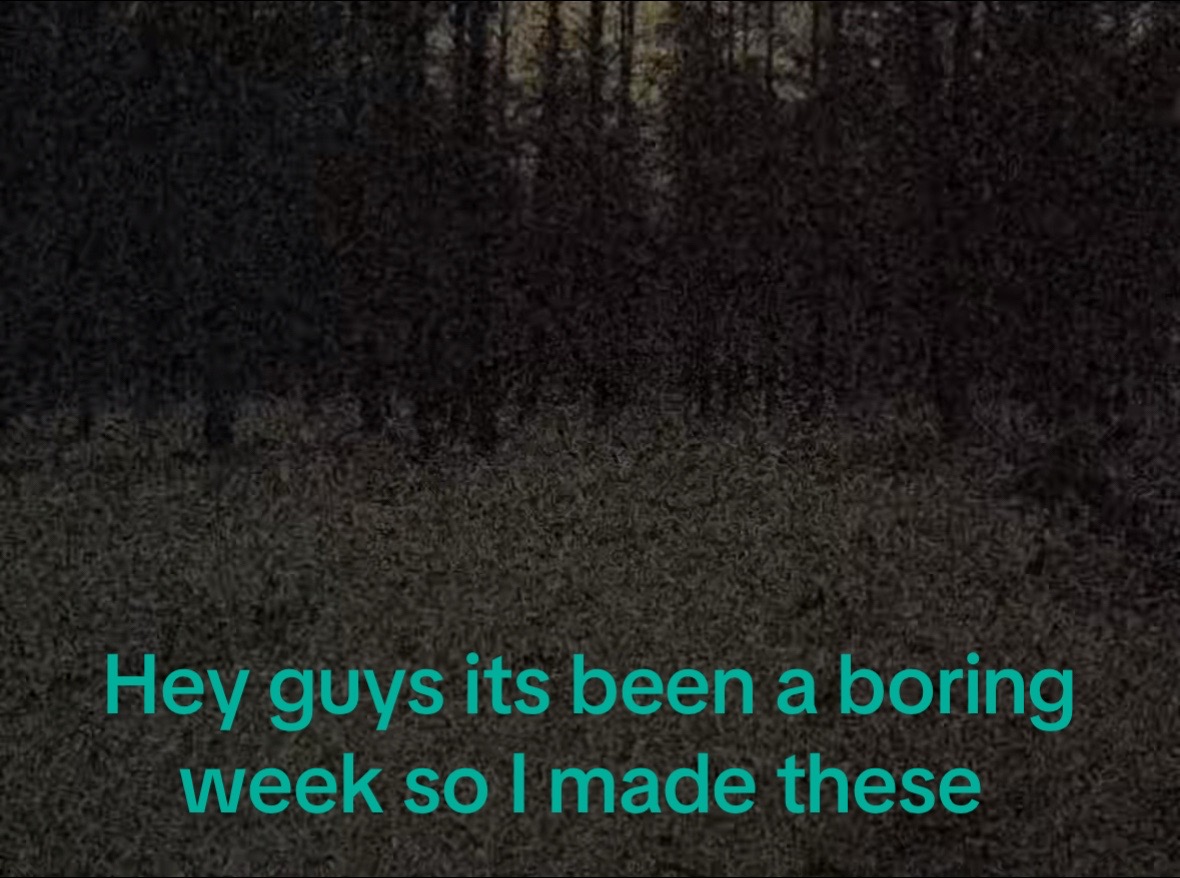 @Draco 🦌