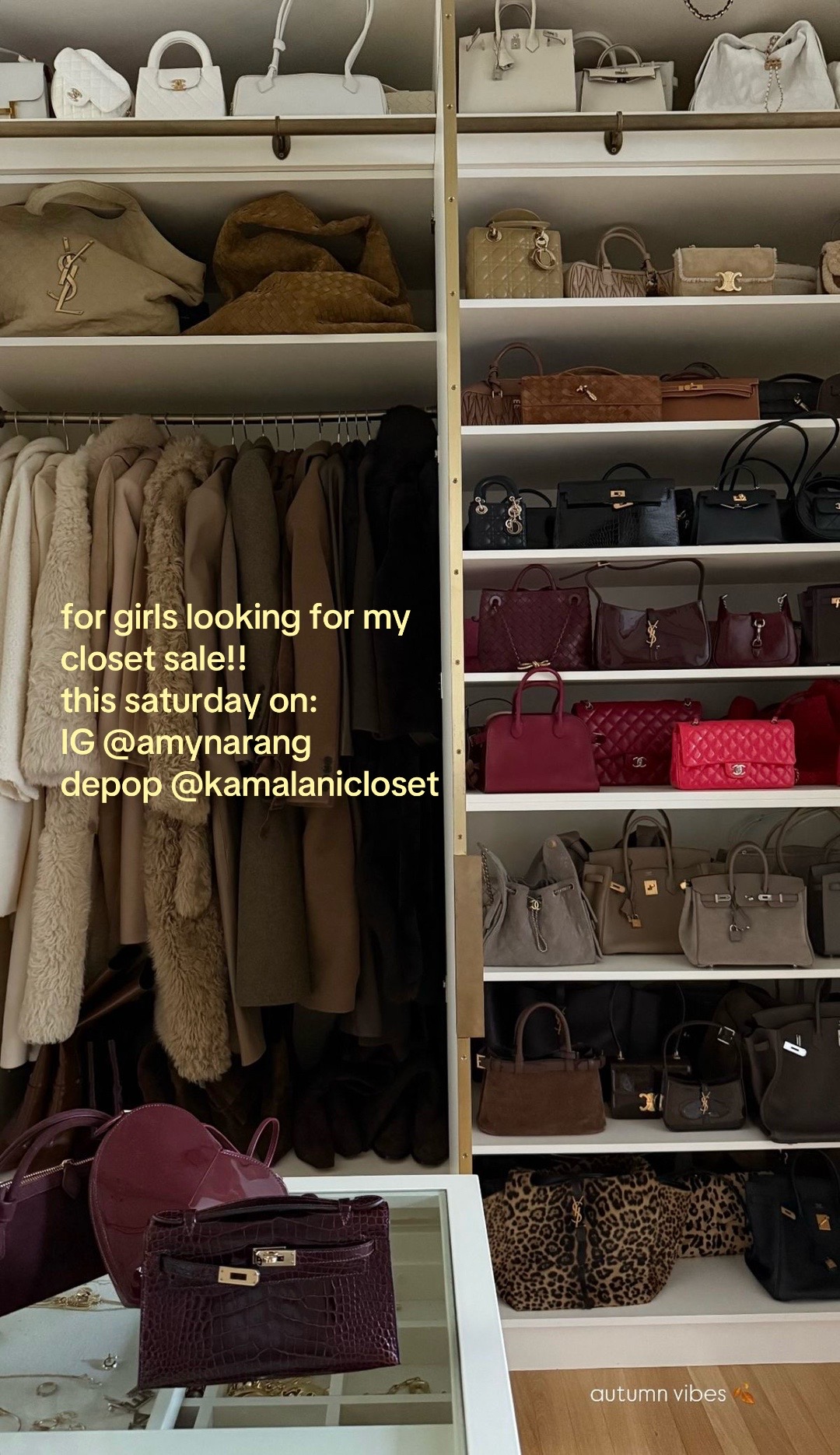 @Kamalani - Designer, Founder