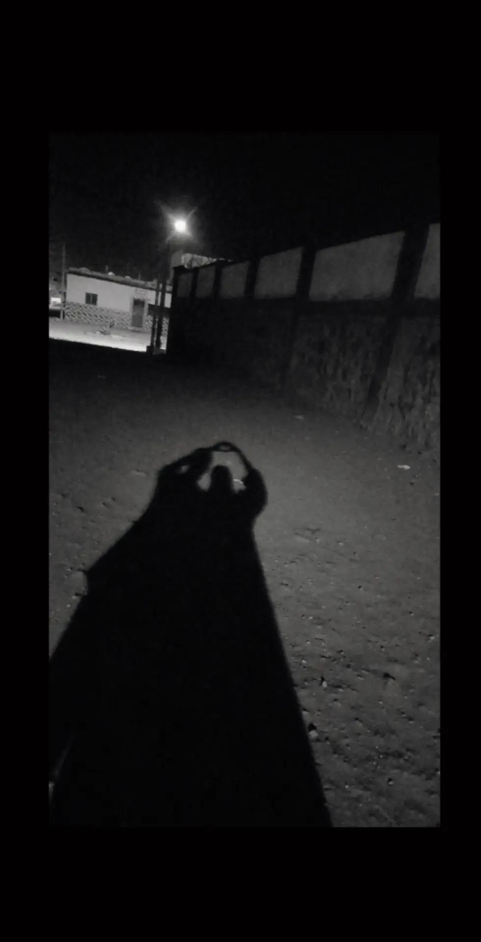 @Love birds somali A ~H