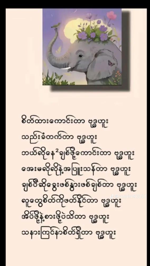 @Shwe yee Win