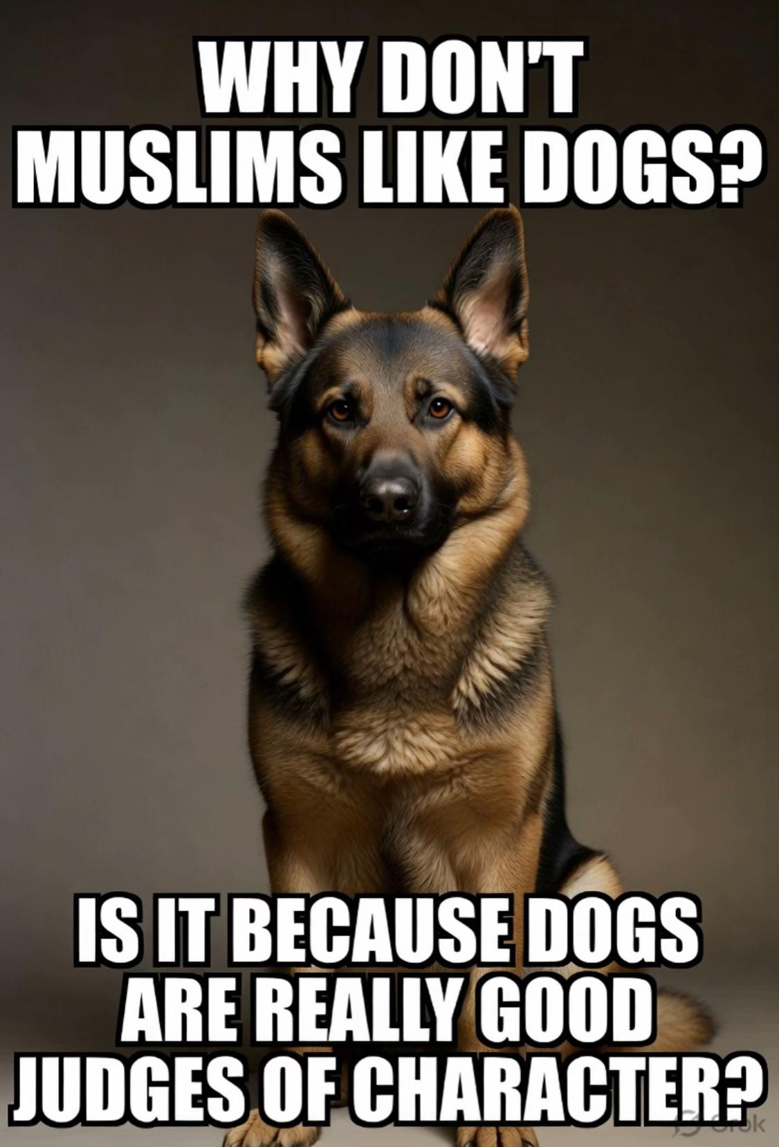 @joey_vegimite